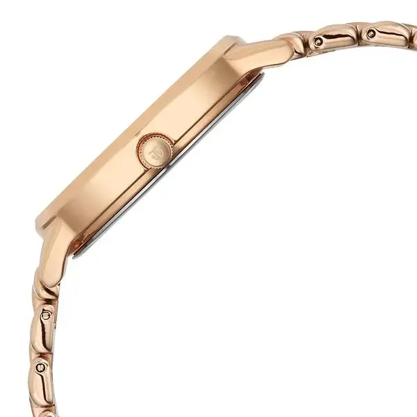 TITAN WATCH 2648WM10