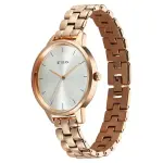 TITAN WATCH 2648WM12