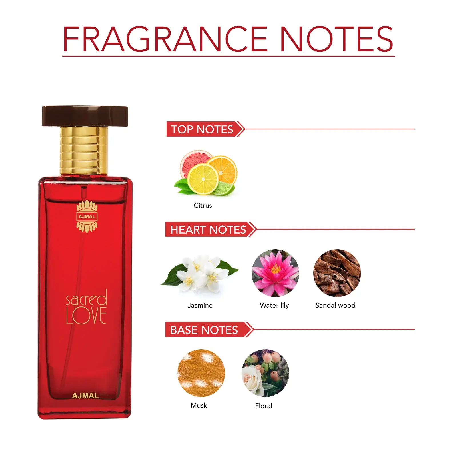 AJMAL SACRED LOVE EDP 50ML