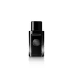 ANTONIO BANDERAS THE ICON EDP 100ML