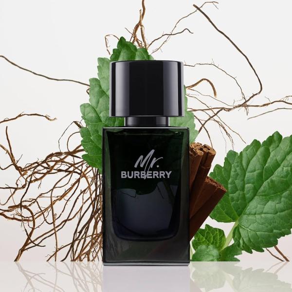BURBERRY MR BURBERRY EDP 100ML