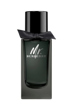 Burberry Mr Burberry EDP 100ML (M)