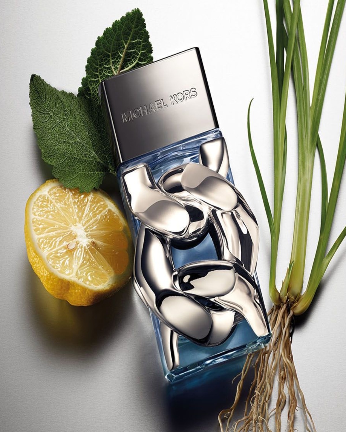 Michael Kors Pour Homme Eau de Parfum 100ml - Image 2
