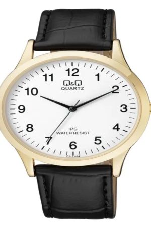 Q&Q Standard Stainless Steel Watch C212J104Y
